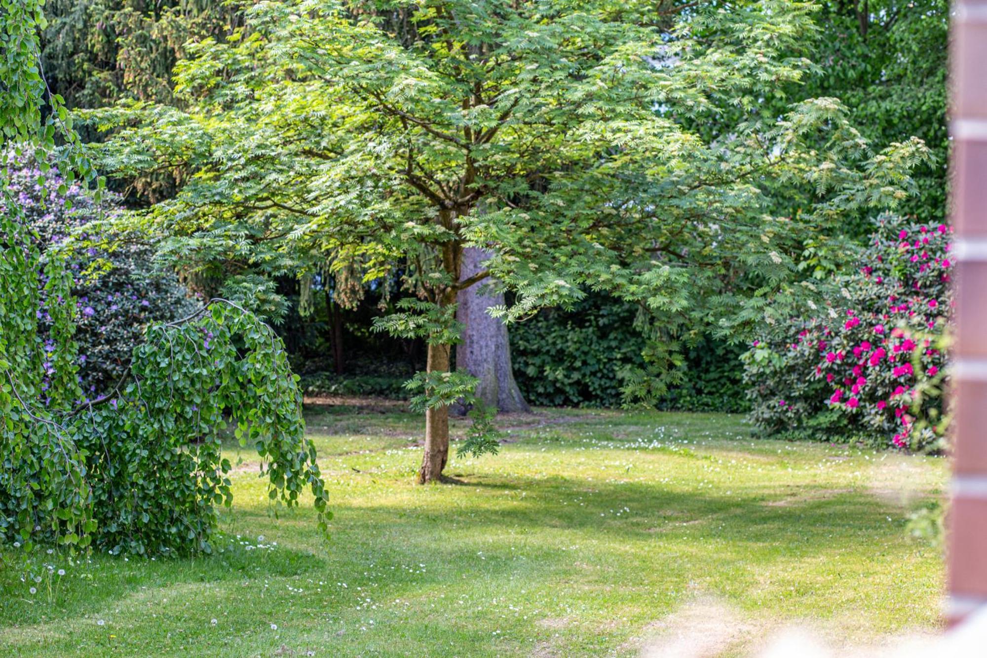 Have-A-Nice-Stay - Nahe Bahnhof Ahrensburg - 20 Minuten Nach Hamburg - Trotzdem Ruhig Gelegen - 6 Minuten Zu Fuss Ins Zentrum Ahrensburg - Modern Eingerichtet Екстериор снимка